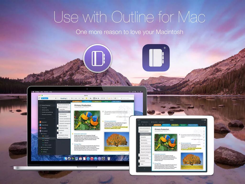 Outline Mac os. Outline приложение. Powerful Notes. Mac your are Buggin.