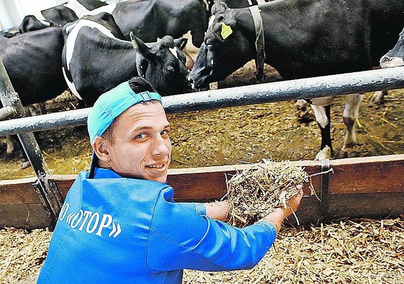 Кадры сельское хозяйство. Молодежь в сельском хозяйстве. кадры в сельском хозяйстве. студенты сельское хозяйство. молодые фермеры россии.