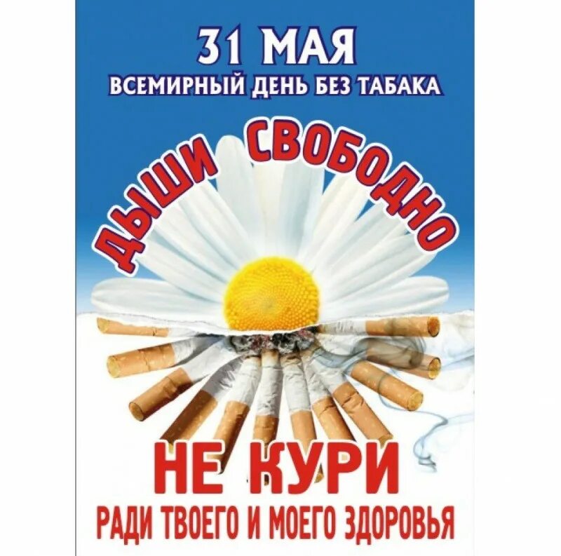 3 апреля день отказа от скучной работы. 31 Мая Всемирный день без табака. День без курения 31 мая. 31 Мая день против табака. Всемирный день против курения.