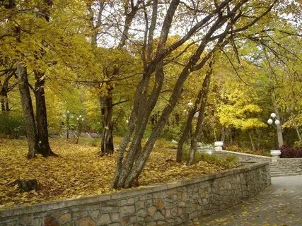 Погода в кисловодске в начале ноября