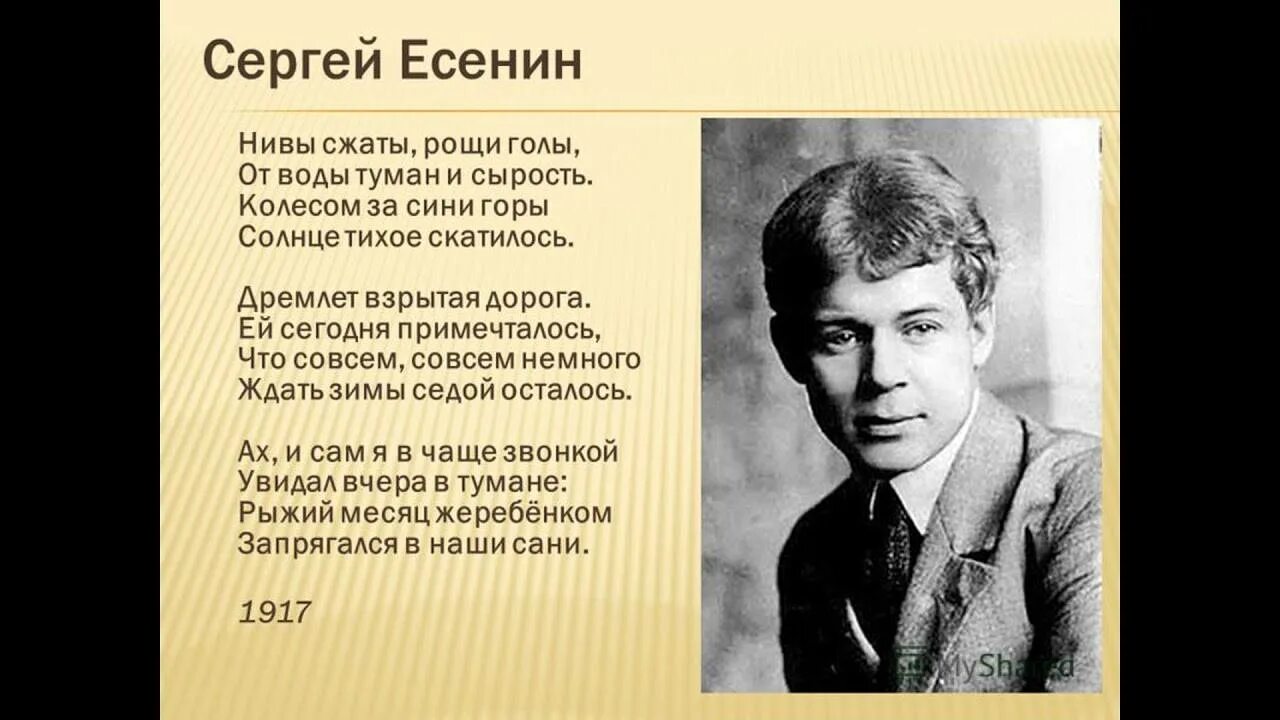 Есенин стихи Нивы сжаты Рощи.