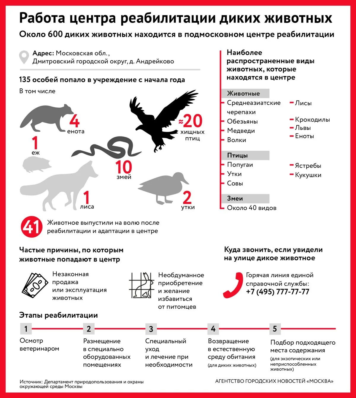 Центр диких животных москва. Реабилитационный центр для диких животных. центр реабилитации диких животных москва. реабилитация диких животных. реабилитационный центр для диких животных план.