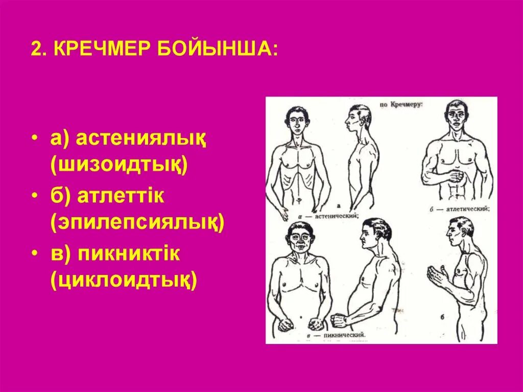 По э кречмеру агрессивность и властолюбие характеризуют. Кречмеру. Типы темперамента шизотимик. По э кречмеру агрессивность и властолюбие характеризуют. Типы темперамента шизотимик.