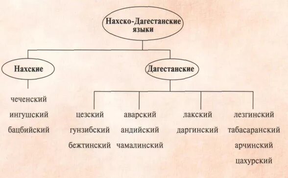 Нахско-Дагестанская группа языков. Кавказские языки группы. Кавказская языковая семья. Группы языков Дагестана.