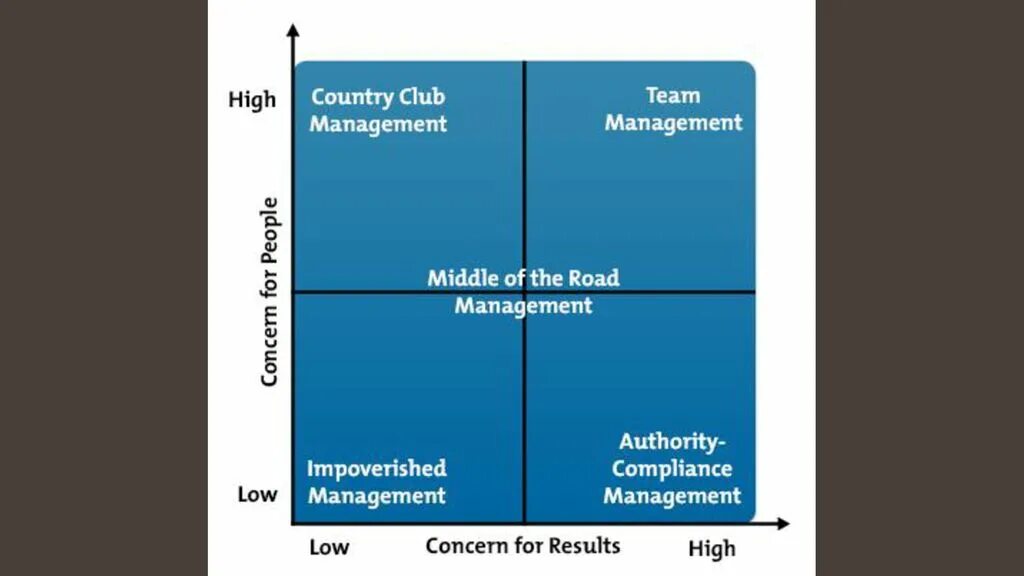 Produce results. Blake and Mouton Leadership Grid. Blake Mouton Management. Blake-Mouton Management Grid. Мидл-менеджмент это.