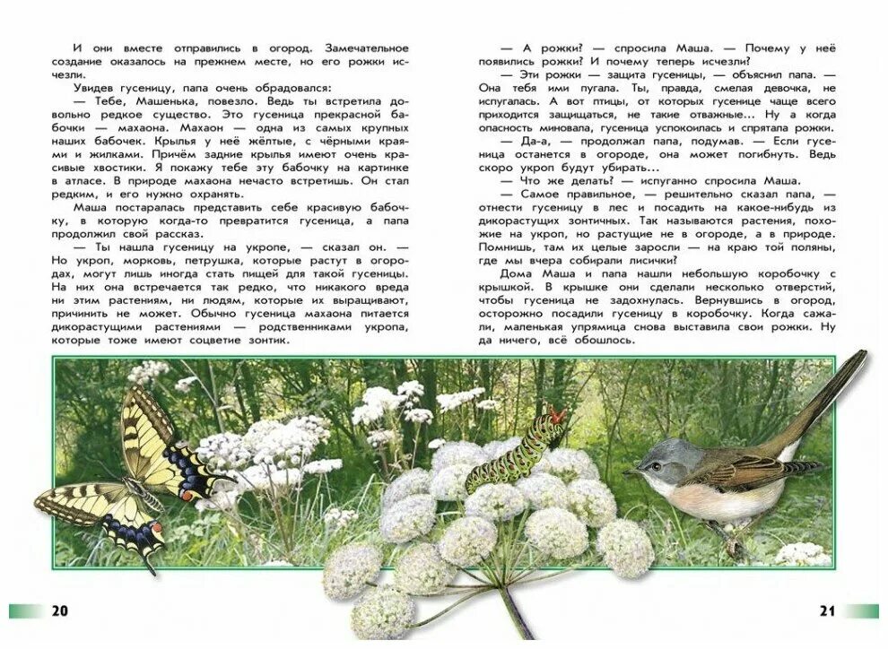 Великан на поляне 4 класс окружающий мир. Великан на поляне тысячелистник. плешаков великан на поляне. великан на поляне или первые уроки экологической этики плешаков. книга великан на поляне плешаков.