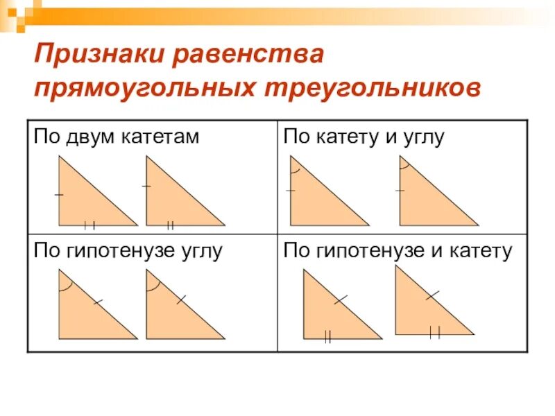 Параллельные прямые прямоугольные треугольники