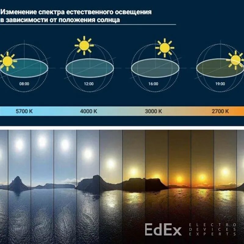 Увеличение продолжительности светового дня фактор среды