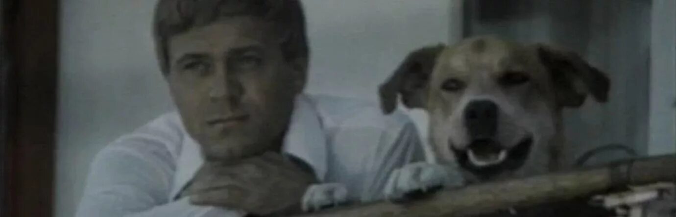 Соленый пес 1973. Соленый пес 1973. Соленый пес 1973. Меньшов соленый пес. Солёный пёс 1973.