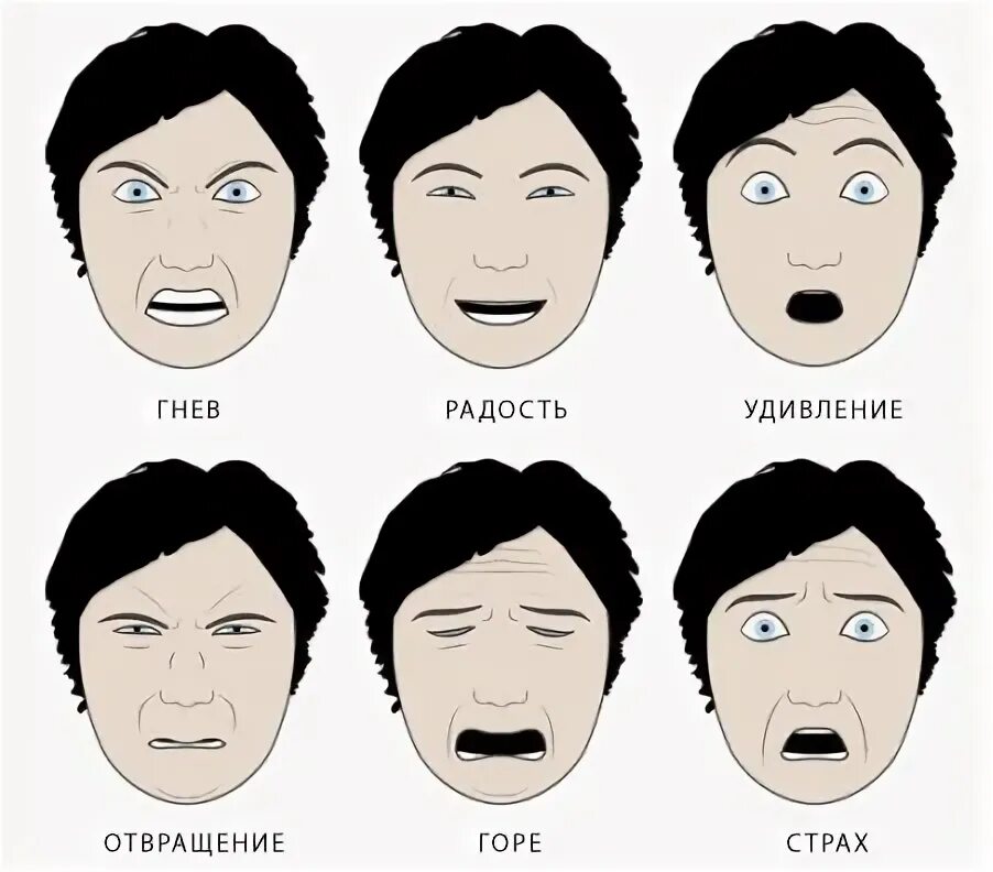 Шесть основных эмоций человека. 5 Эмоций человека. Базовые эмоции человека. Мимика 6 базовых эмоций.