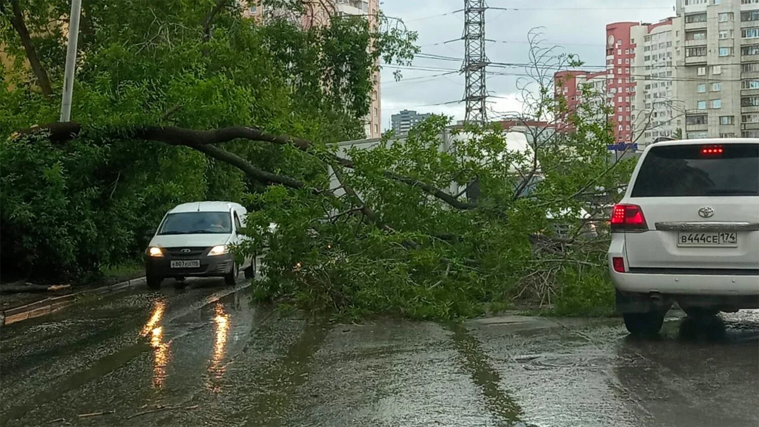 Сильно упали цены. Ураган в Екатеринбурге 2020. Ураган в Екатеринбурге 25 мая 2020. Сильный ветер Екатеринбург. Упавшее дерево.