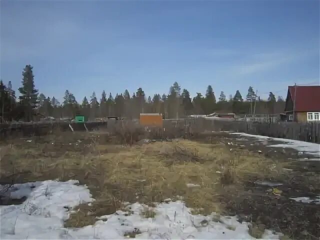 Абрамова 2