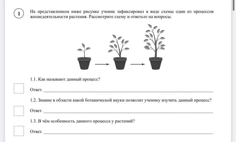 Процесс жизнедеятельности растений ВПР. Процесс роста растений ВПР.