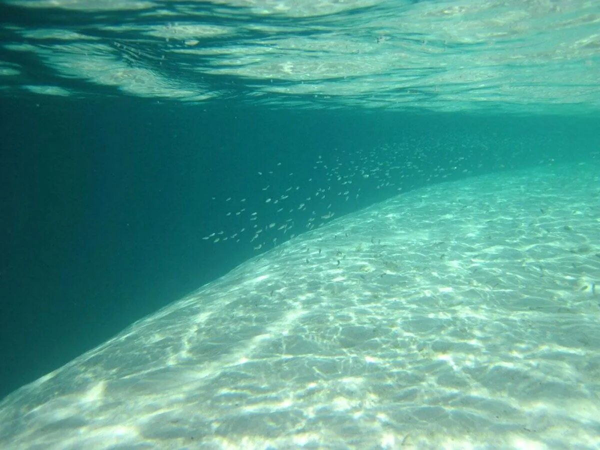 Верхние толщи воды. Под водой. Страх океана. Океаны. Глубина. Боязнь глубины океана.