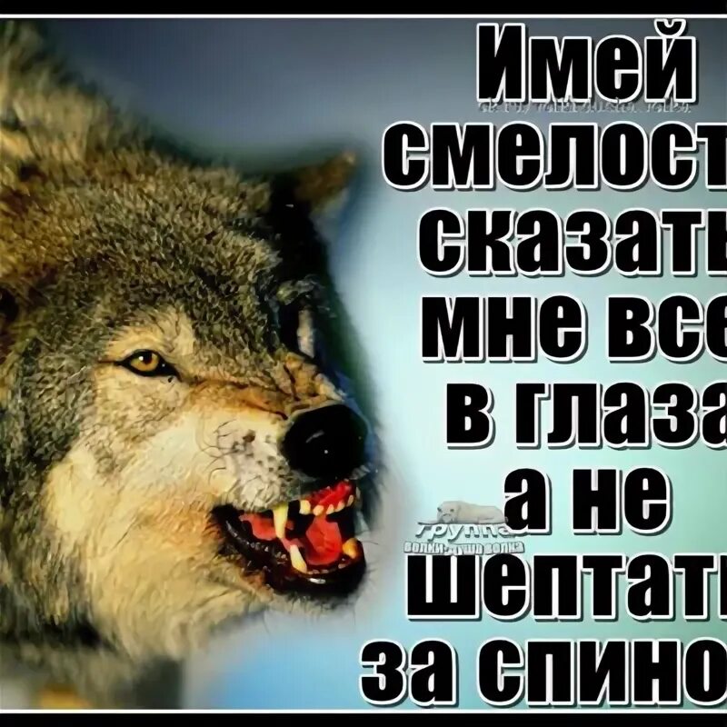 Привет глаза. Не можешь сказать в глаза не тявкай за спиной. не можете сказать в глаза не тявкайте. не можешь сказать в глаза не тявкай. не можете сказать в глаза не тявкайте тогда.
