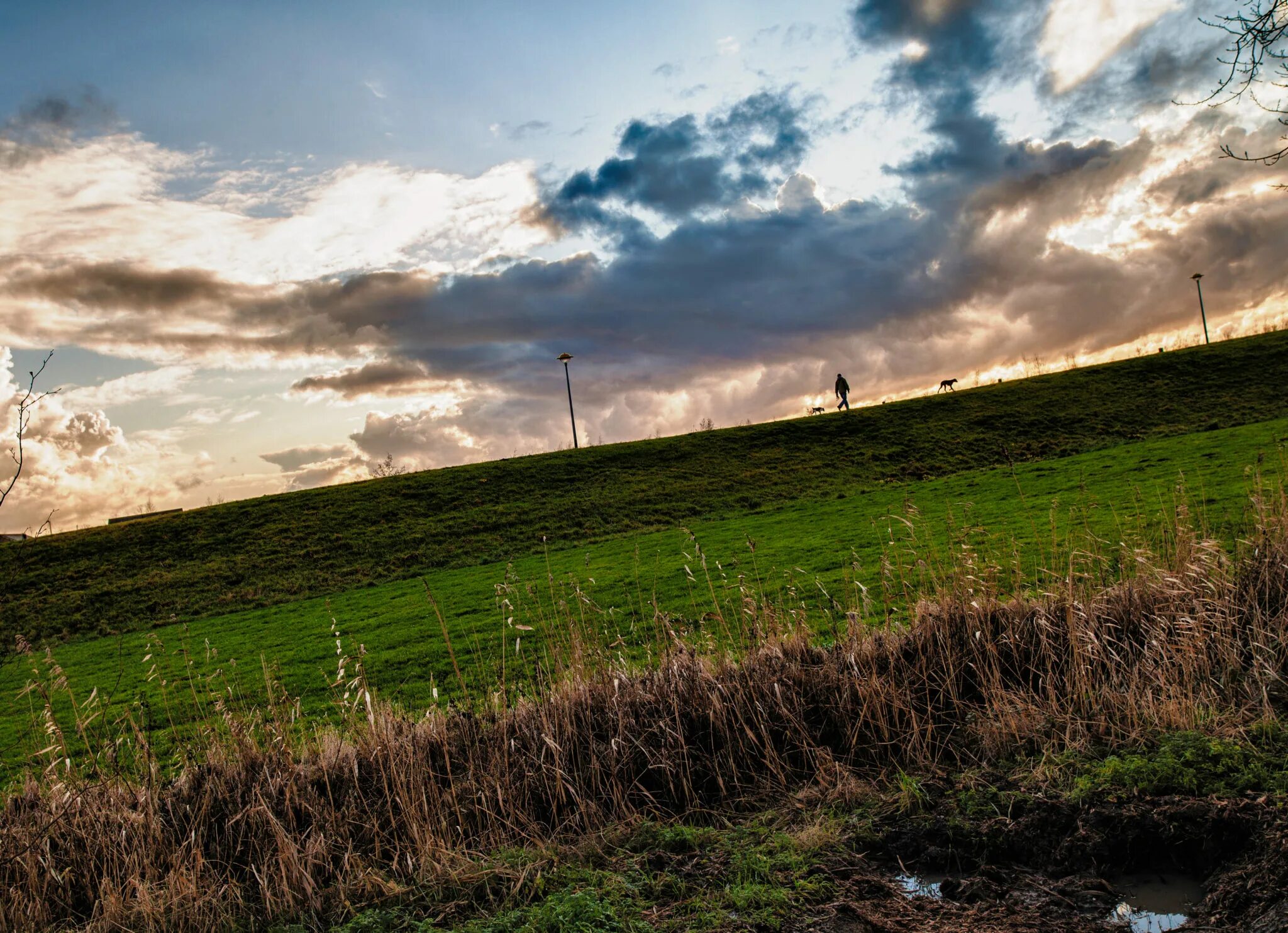 Что нашлось горизонт. Пейзаж с заваленным горизонтом. кривой горизонт. кривая линия горизонта. неровный горизонт.