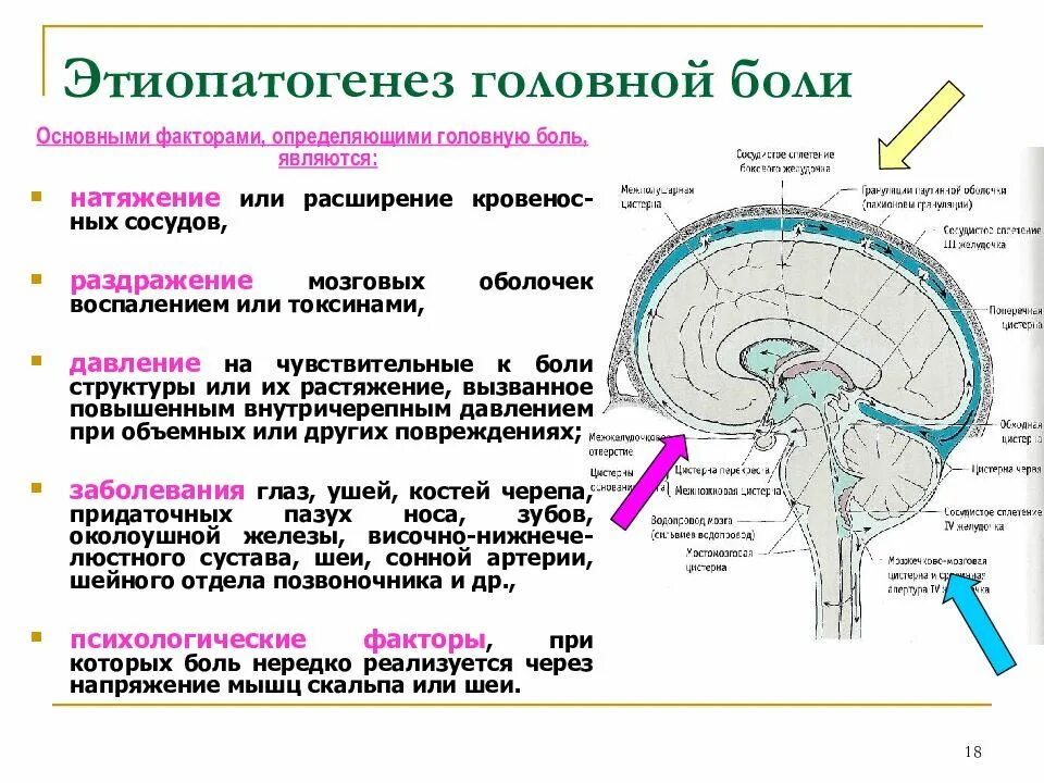 Цистерны мозга расширены. Подпаутинное субарахноидальное пространство. Цистерны мозга анатомия мрт. Цистерны подпаутинного пространства головного мозга. Базальные цистерны головного мозга анатомия.