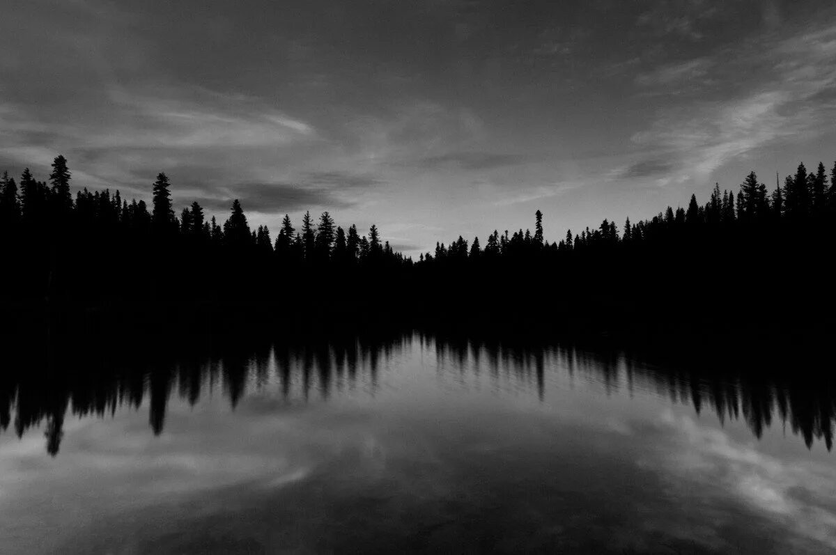 Озеро в лесу. Мрачный лес. Мрачный пейзаж. Темное озеро.
