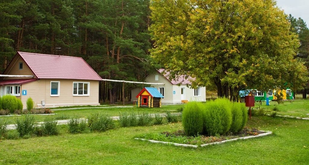 Дол в луге. Лагерь зеленый луг Артемовский. Зелёный луг лагерь Свердловская область. Дол "зеленый луг" Екатеринбург. Лагерь зелёный луг Егоршино.