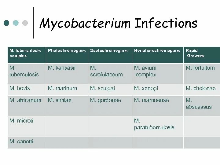 Mycobacterium tuberculosis complex. Mycobacterium tuberculosis complex