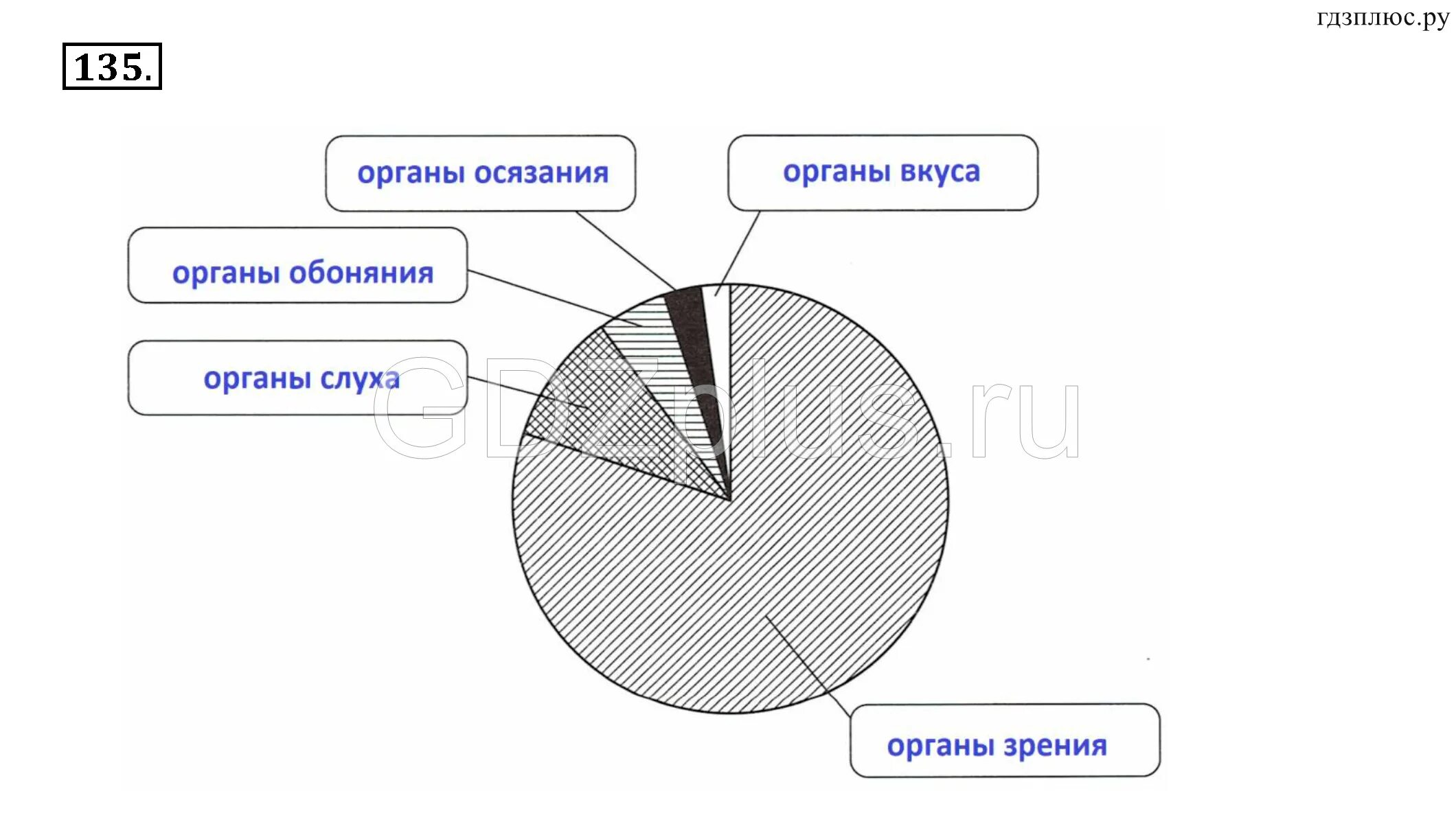 5 класс информатика презентация босова. Информатика 5 класс номер 131. наглядные формы представления информации 5 класс босова. наглядные формы представления информации 5 класс информатика. наибольший объем информации человек получает при помощи ответ.