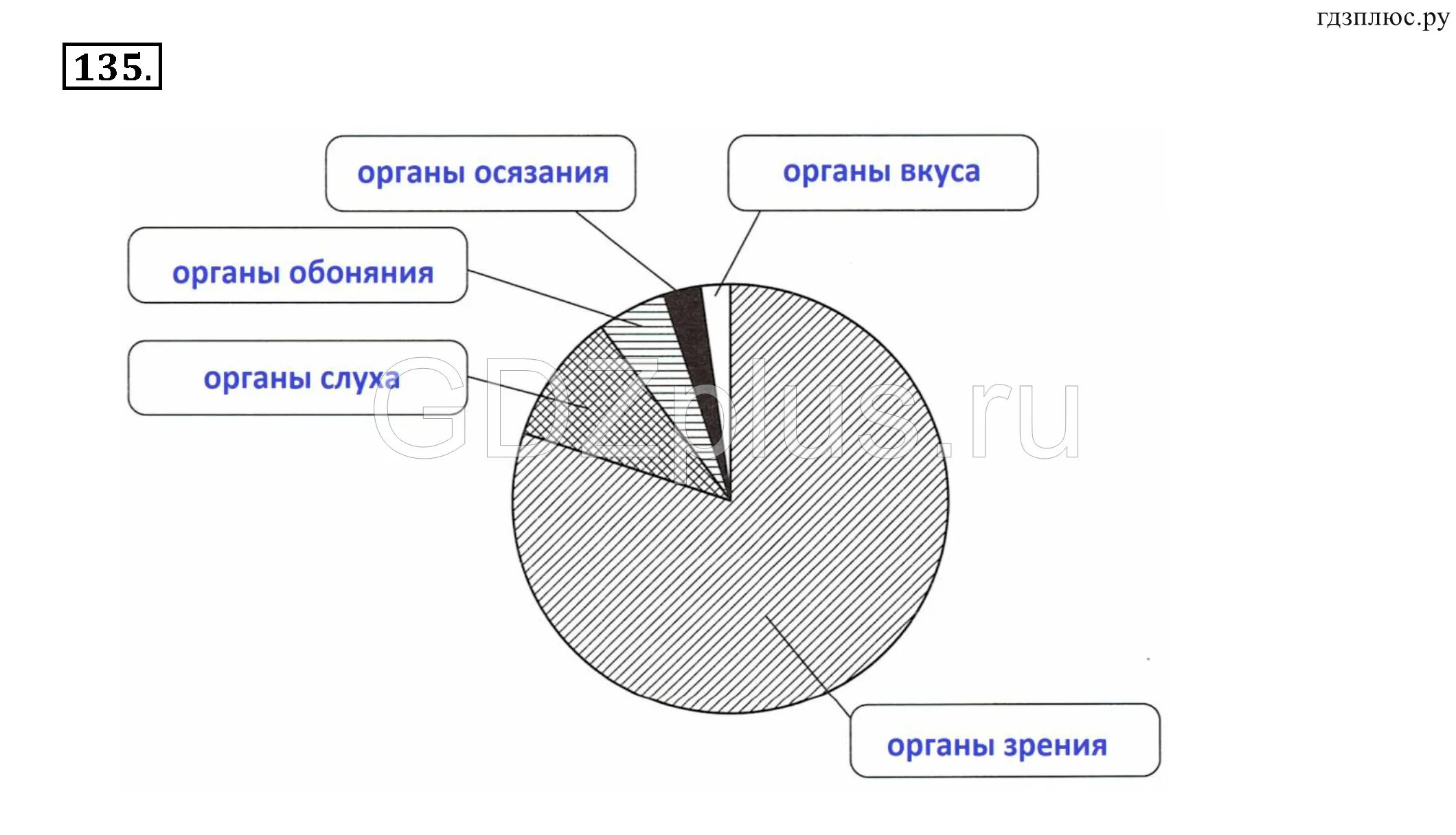 Информатика 5 класс 135. Наглядные формы представления информации 5 класс. Информатика 5 класс номер 131. Наглядные формы представления информации 5 класс босова. Гдз 5 класс Информатика номер 135.