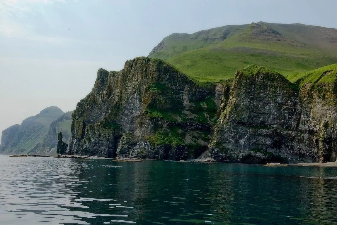 O island. Командорские острова остров Беринга. Бухта Буян остров Беринга. Командорские острова Камчатка. Остров Топорков Командорские острова.