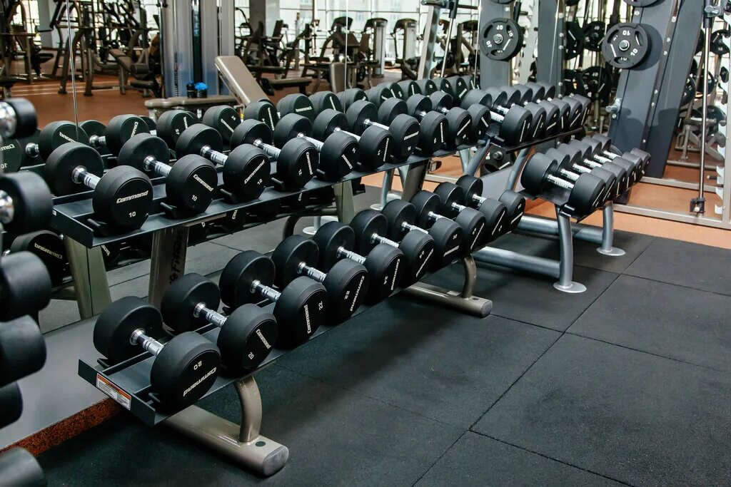 Hit fitness атмосфера. хит фитнес спб атмосфера. хит фитнес в питерленде. Hit fitness комендантская площадь. Hit fitness комендантская площадь.