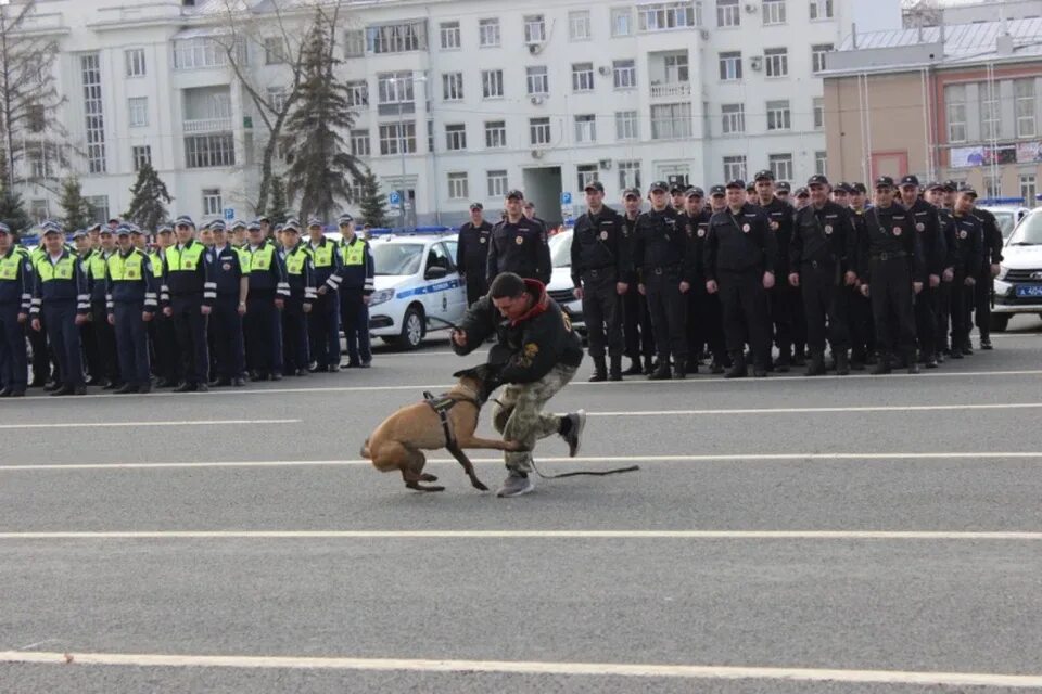 Охрана общественного порядка. Полиция фото. Полицейские маршируют. Строевой смотр. Полиция куйбышеву