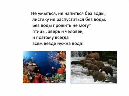 В воде не живем