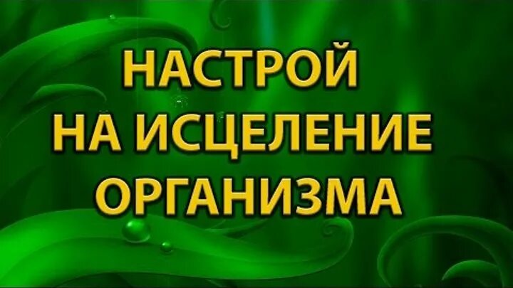 Медитация на оздоровление организма. Аутотренинг для успокоения нервной системы. Синельников медитация настрой на исцеление и оздоровление. Исцеление всего организма. Синельников медитации слушать