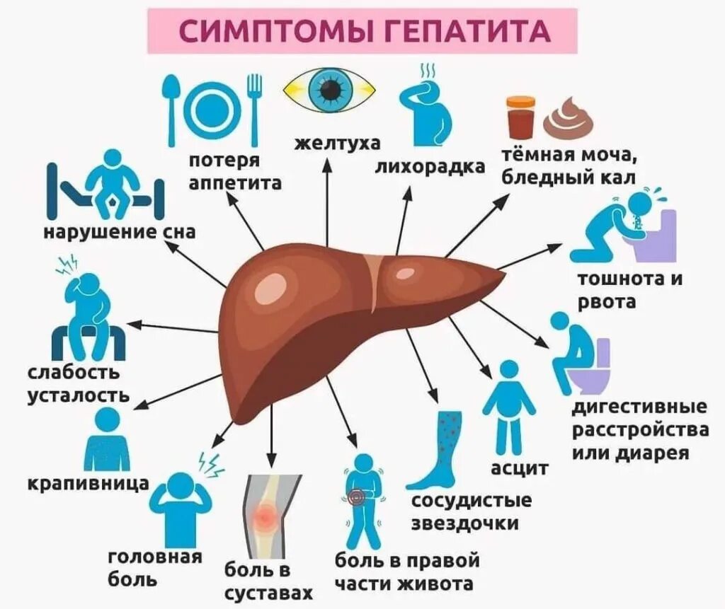 Борьба с гепатитом. Гепатит симптомы и профилактика.