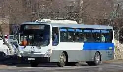 Автобус 514 ольховая плесково