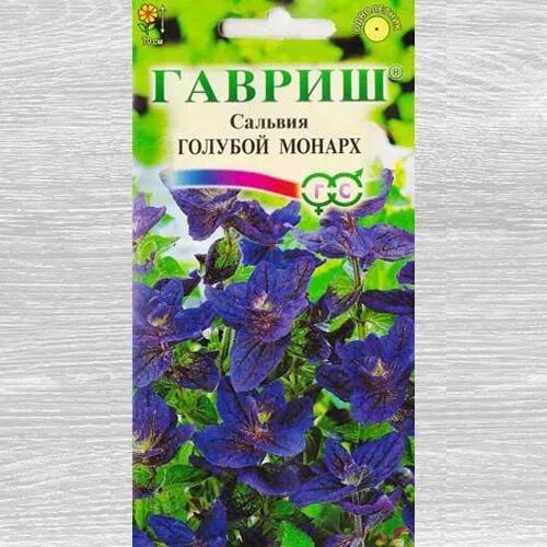 сальвия синяя голубой монарх. цветы сальвия голубой монарх. сальвия голубой монарх семена. сальвия мучнистая sallyfun deep ocean. сальвия монарх.