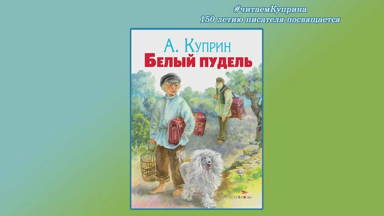 Кто написал пудель. Белый пудель Куприн иллюстрации. Иллюстрация к произведению Куприна белый пудель. Белый пудель Куприн Трилли. Белый пудель из произведения Куприна.