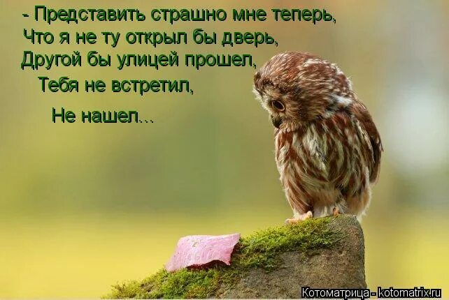 добро мне не страшно где. добро мне не страшно где. добро мне не страшно где. добро мне не страшно где. добро мне не страшно где.