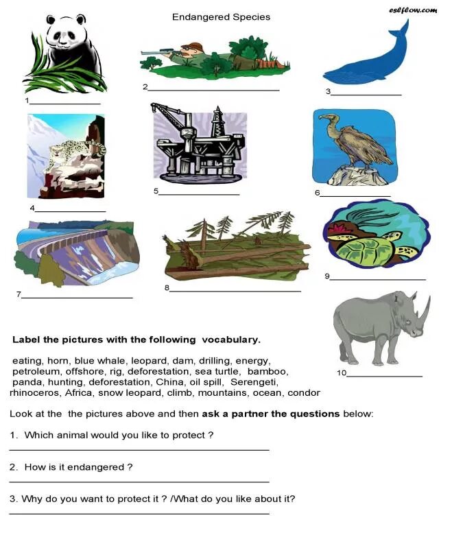 Match the words endangered. Endangered species Worksheets. Endangered species Vocabulary. Endangered species speaking Worksheet. Endangered animals Worksheets.