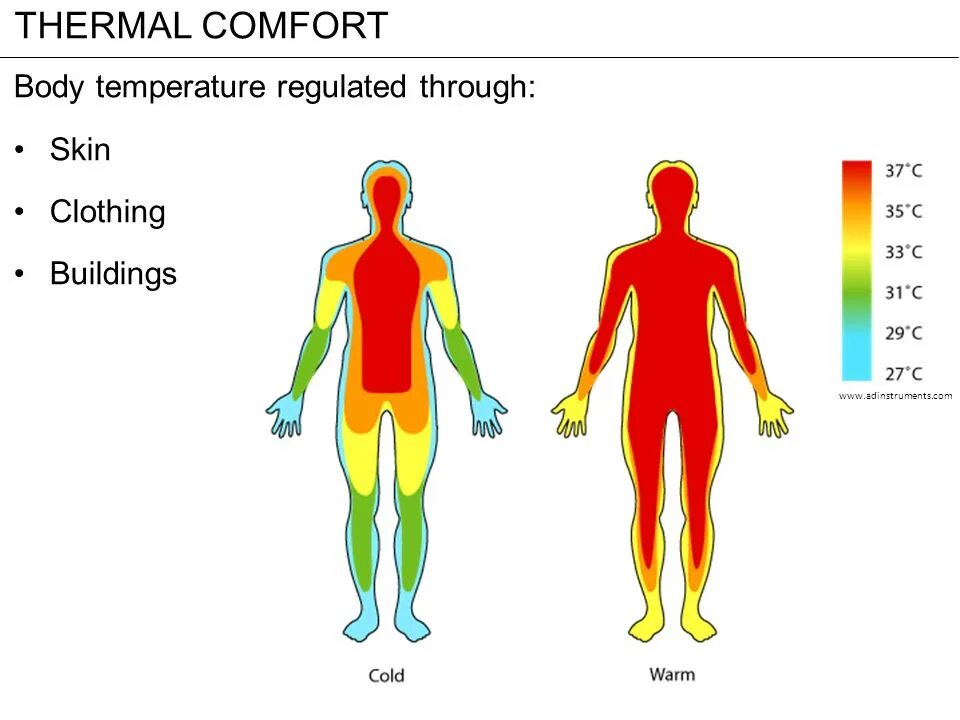 Human warm. Терморегуляция тела. Теплообмен организма. Терморегуляция человеческого организма. Регуляция температуры тела человека.