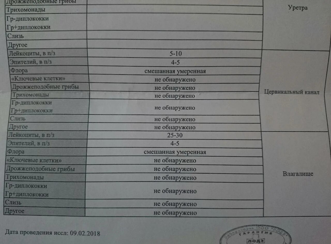 Микрофлора смешанная что это значит