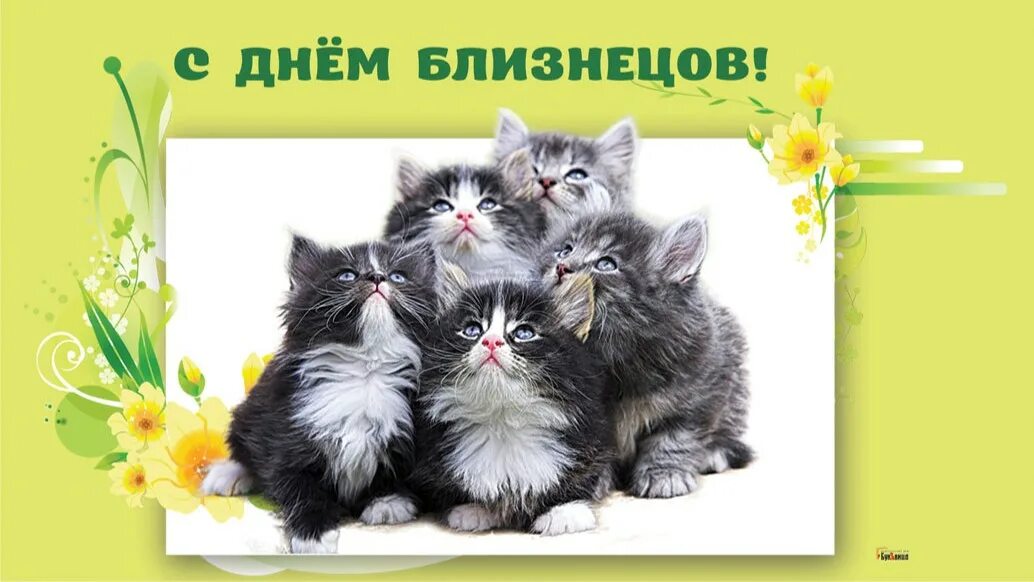 Когда будет день близнецов. Когда будет день близнецов