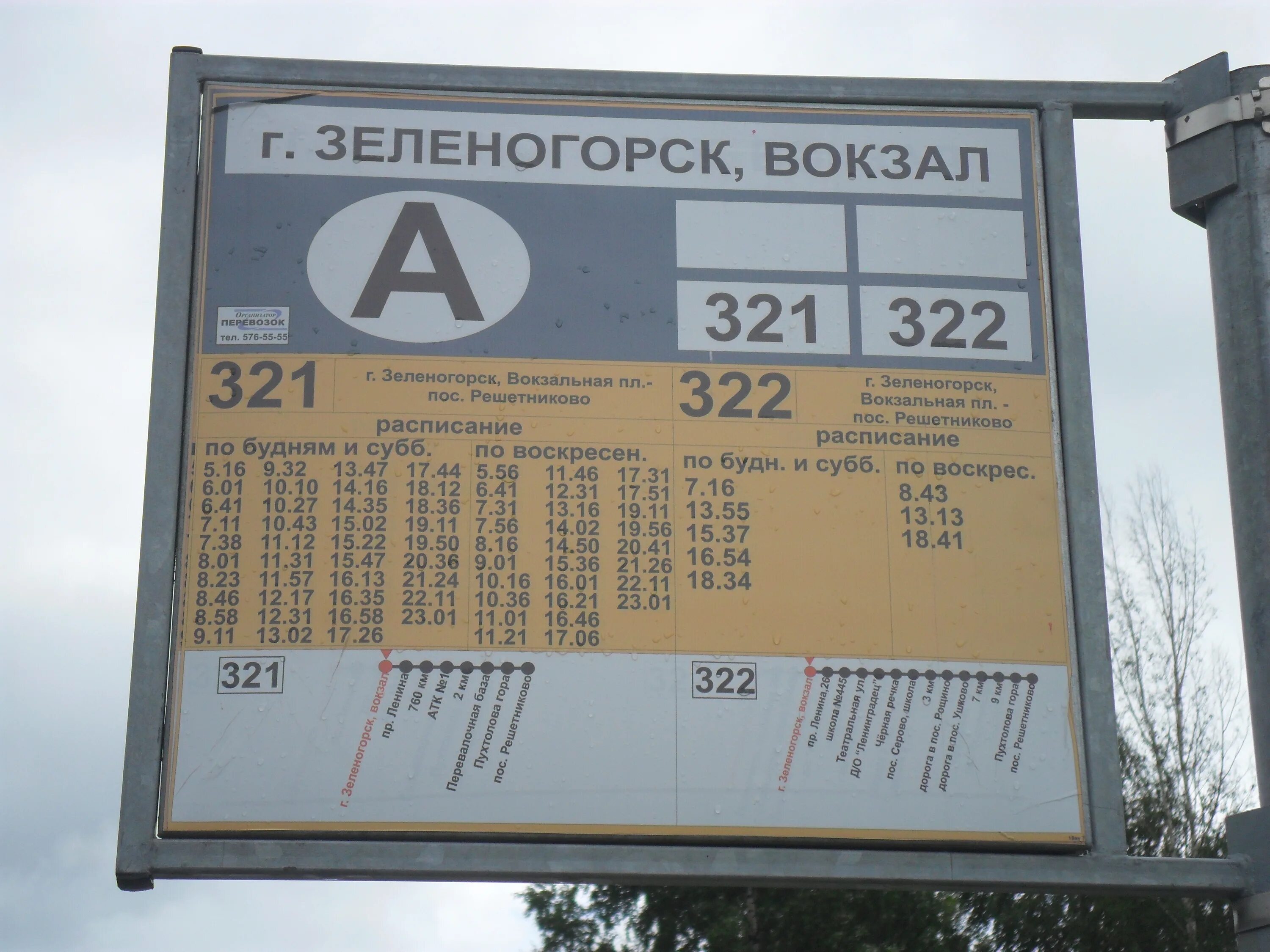 Расписание автобусов 213 от 21 км. Автобус 211 Зеленогорск. Автобус 321 Зеленогорск Решетниково. Расписание автобусов Зеленогорск. Расписание автобусов зеле.
