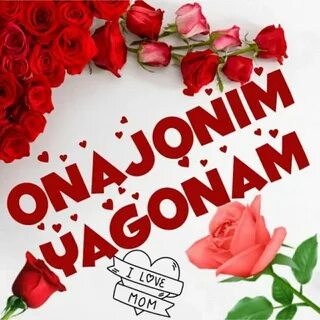 Кун хакида