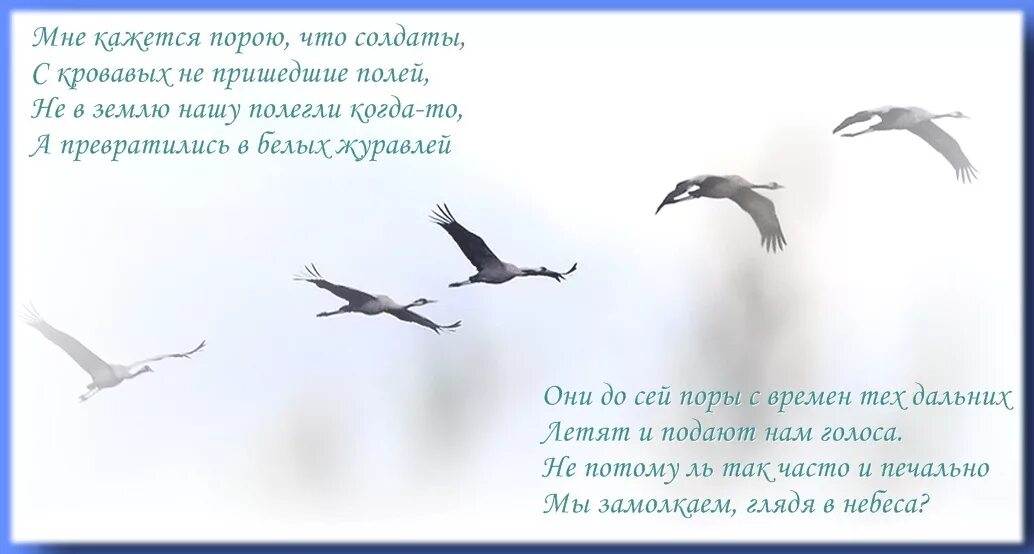 День белых журавлей. Праздник белых журавлей. Белый журавль. Стихи о белых журавлях памяти. Журавль в честь памяти