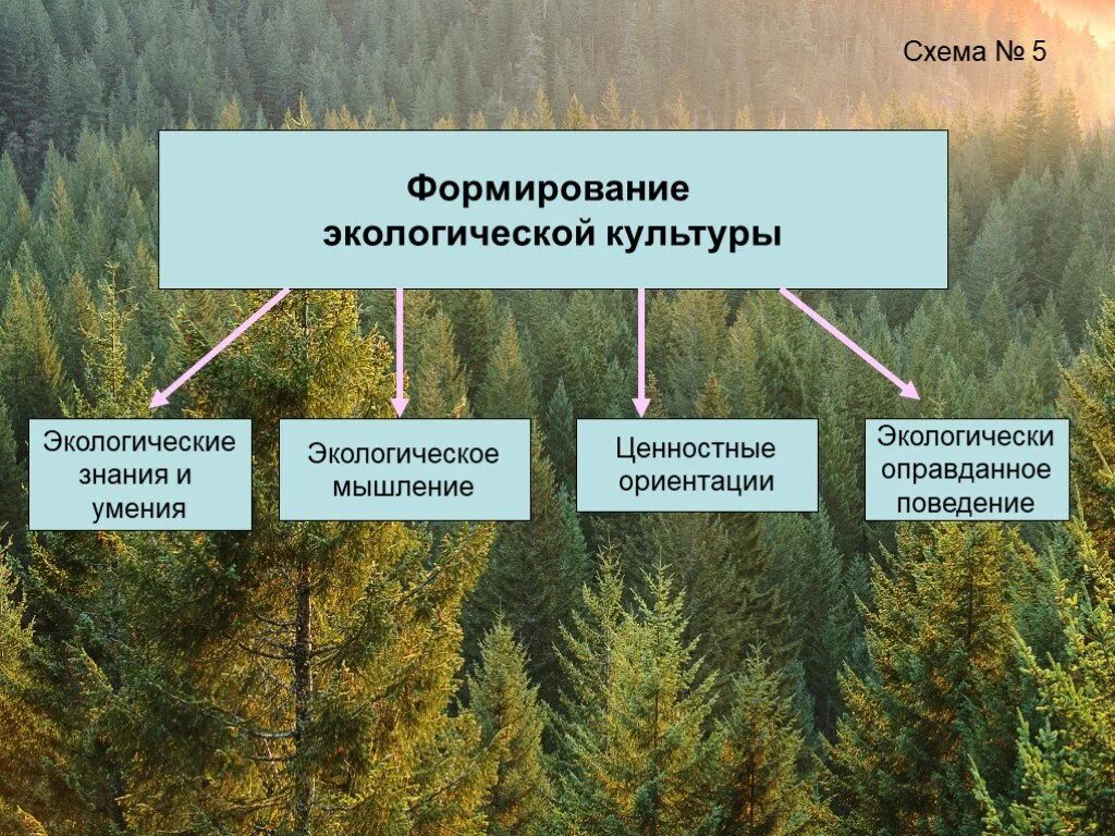 Экологические вопросы и развитие. Воспитание экологической культуры. Формирование экологической культуры. Экологическая культура схема. Аспекты экологической культуры.