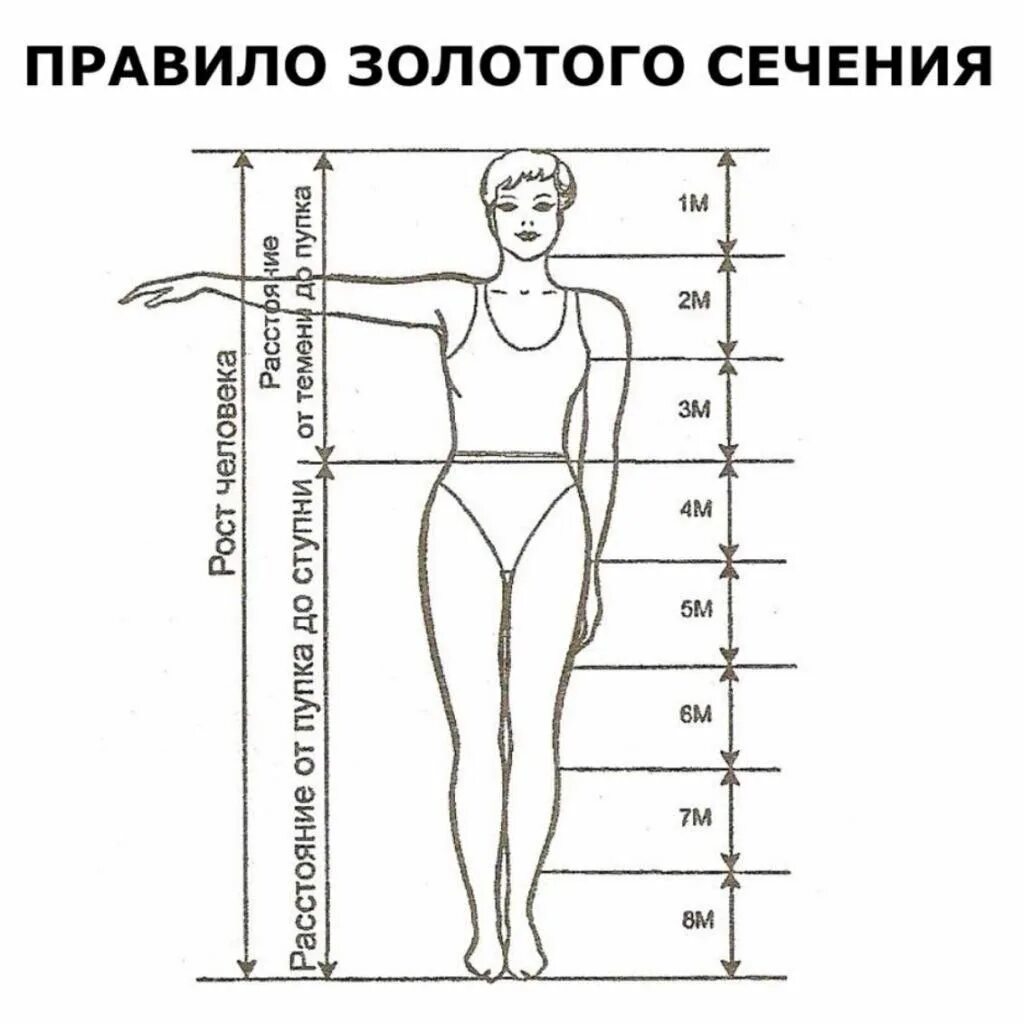 Золотое сечение пропорция тела женщины. Пропорции женского тела золотое сечение. Идеальные ноги пропорции. Золотое сечение в пропорциях человека. Размах охват 7
