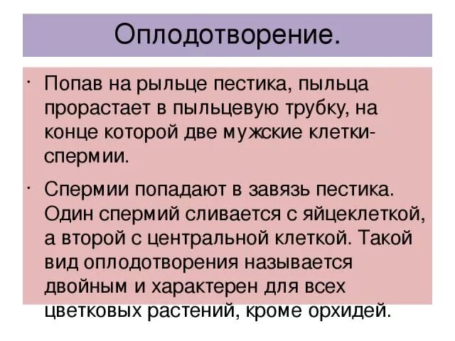 Попадание пыльцевого зерна на рыльце. . пыльца, попав на__________ пестика, вскоре _________.. пыльца на рыльце пестика. пыльца попав на рыльце. пыльцевое зерно попадает на рыльце пестика.