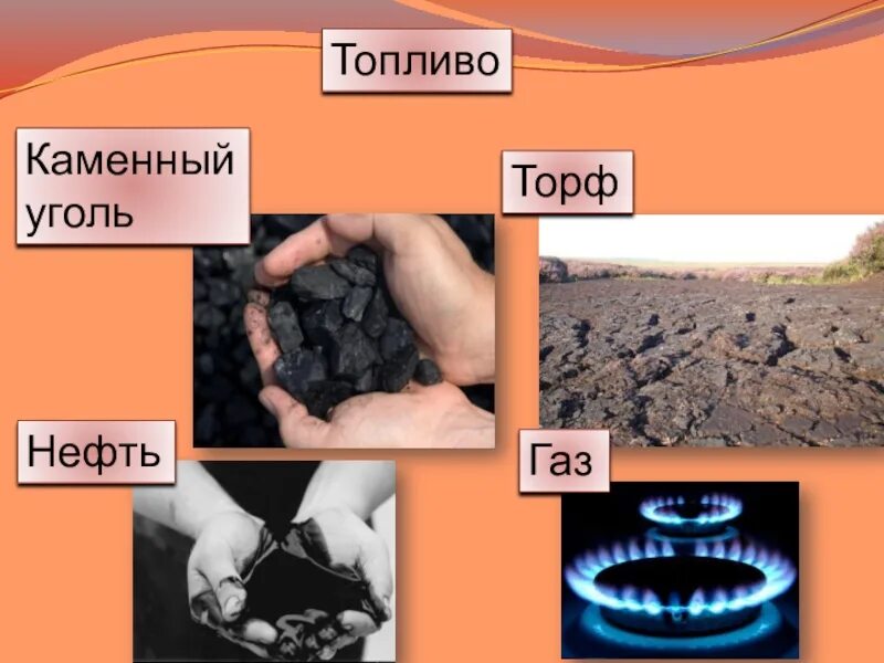 Торф горючее ископаемое. Уголь,нефть , природный ГАЗ, торф. Нефть ГАЗ уголь. Уголь торф нефть. Нефть природный ГАЗ уголь.