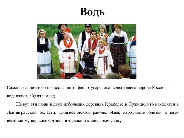 Коренные народы Ленинградской области водь. Вепсы Ижоры водь. Водь народ России сообщение. Народы Ленинградской области водь Ижора. Народы проживающие в ленинградской области