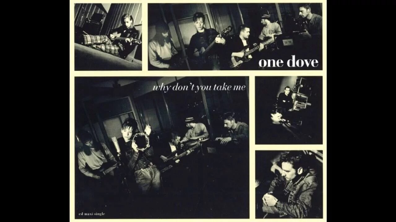 Why don t you take