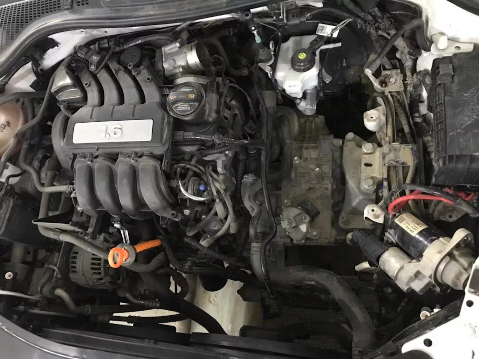Шкода а7 1.6 mpi 110. Шкода октавия 1.6 mpi. skoda octavia a5 1.6 mpi двигатель. skoda octavia a5 1.6 mpi катушка. skoda octavia a5 1.6 mpi воздуха нагнетатель.
